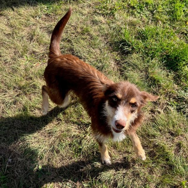 Photo of Truffle