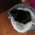 Photo of Charlie