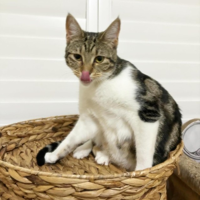 Photo of Evie 