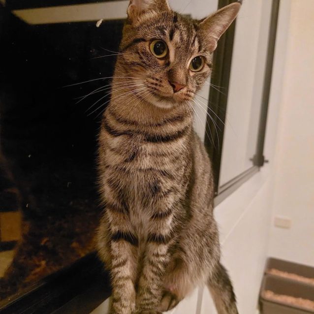 Photo of Lorelei