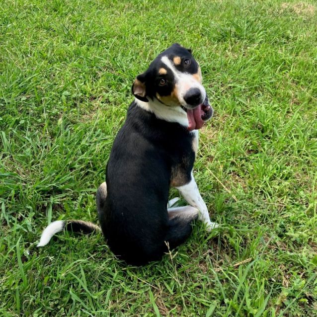 Photo of Jill
