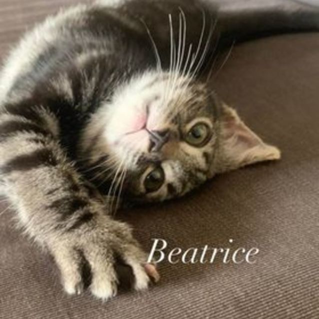 Photo of Beatrice