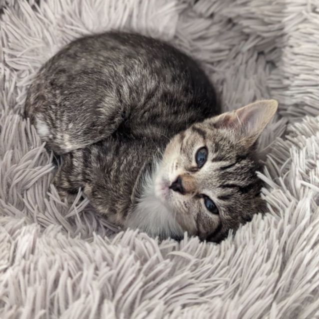 Photo of Jimmy James Hunt 