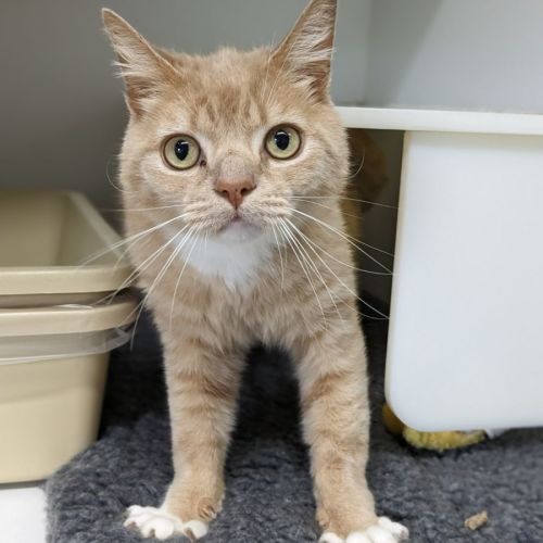 📙 Einstein F02702 📙