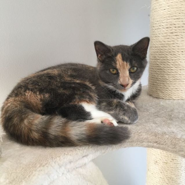 Photo of Hrh Lilibet 👑 