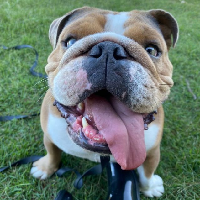 Photo of Gorgeous George