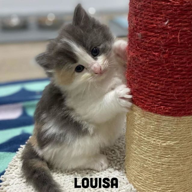 Photo of Louisa