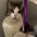 Photo of Delilah