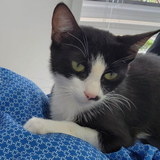 Photo of Luna