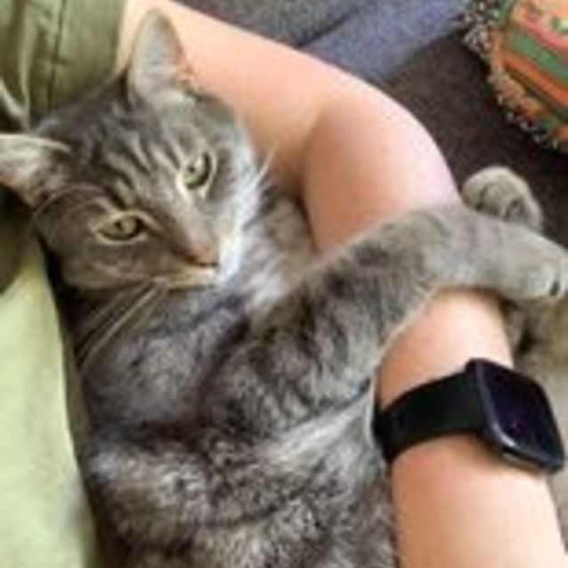 Photo of Keanu   Located In Armadale