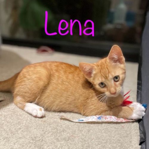 Lena