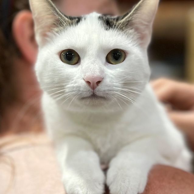 Photo of 💜 Calvin 💜