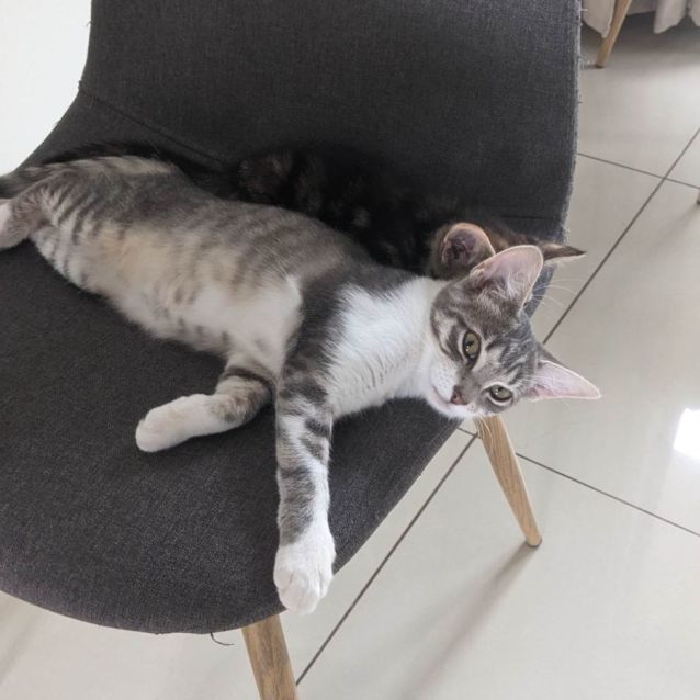 Photo of Selma & Ellie