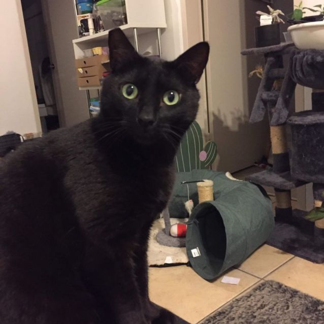 Photo of Freddy
