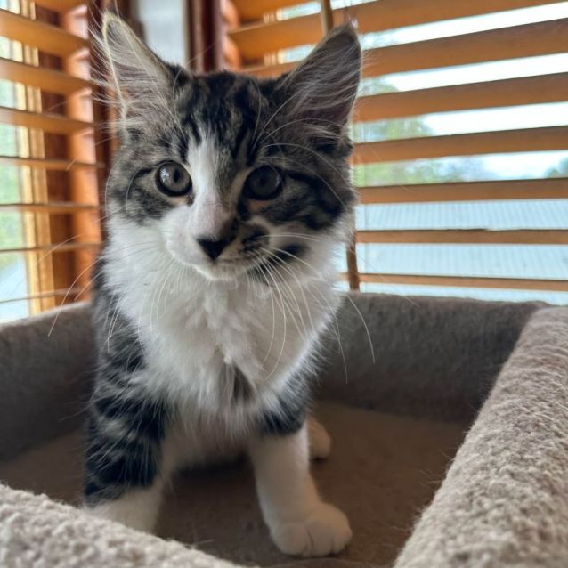 Photo of Rocky