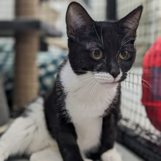 Photo of 🛸 Otis 5064 🛸