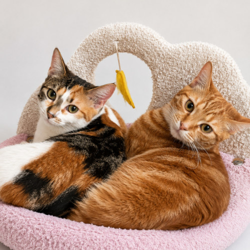 Kiki & Mimi