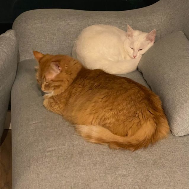 Photo of River (Located In Docklands)