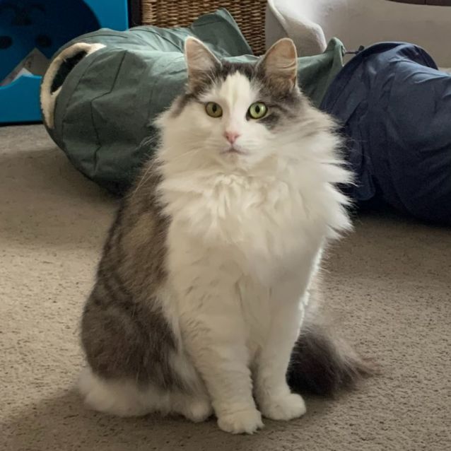 Photo of Jessie 🌹