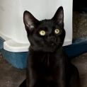 Photo of Simon
