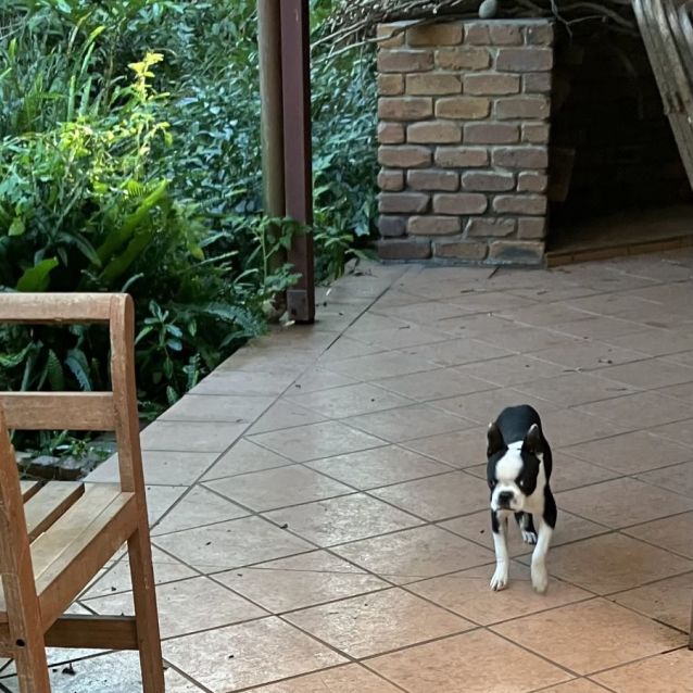Photo of Max