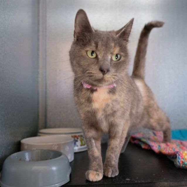 Photo of Princess Ruby