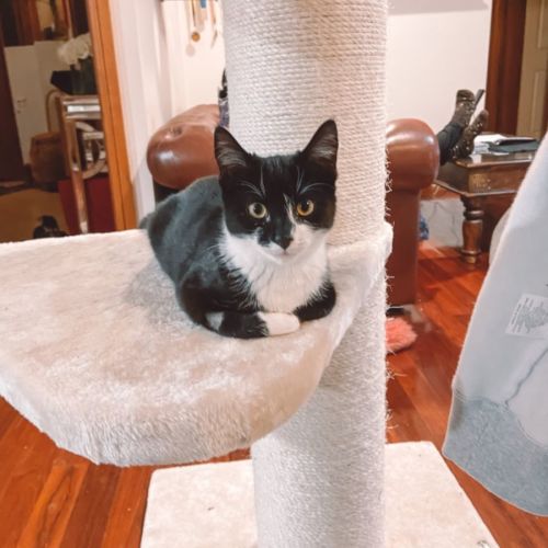 Luna