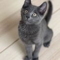 Photo of Dorothy