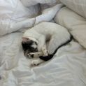 Photo of Margot