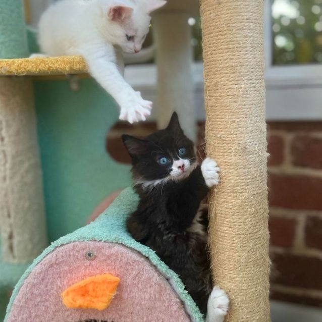 Photo of 🖤 Jonty 🖤