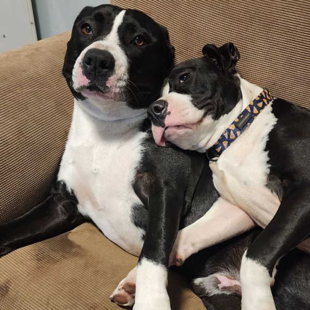 Photo of Jane And Thor