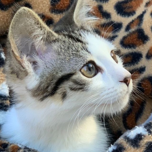 Photo of Mia 🩷🩷🩷🩷🩷🩷