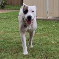 Photo of Rosie