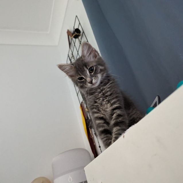 Photo of Keiryn