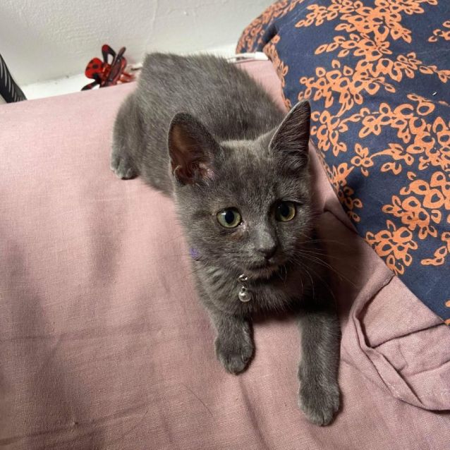 Photo of Tofu & Noodles