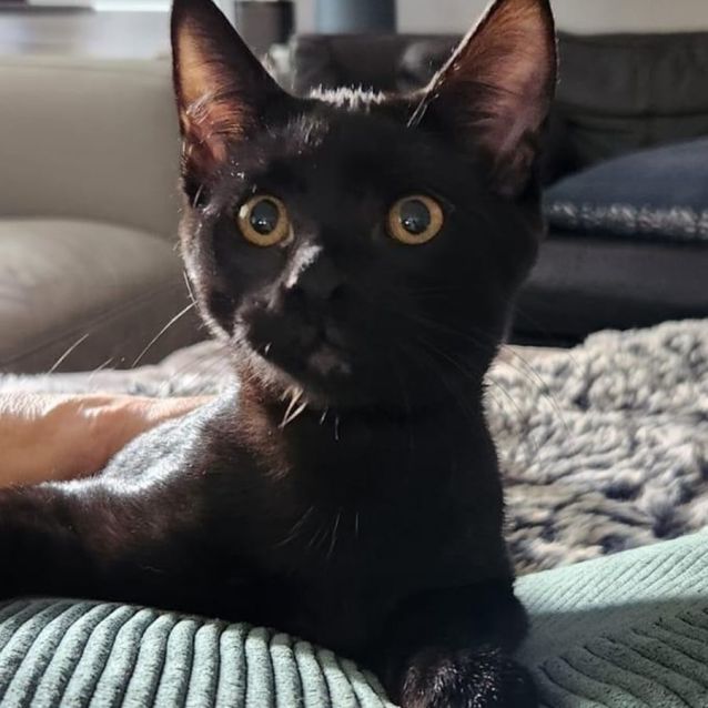 Photo of Jerry