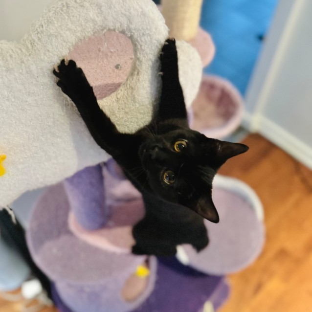 Photo of Fantastic Fudge