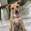 Photo of Elly