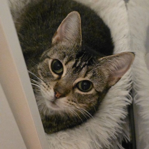 No photo for Jasmine