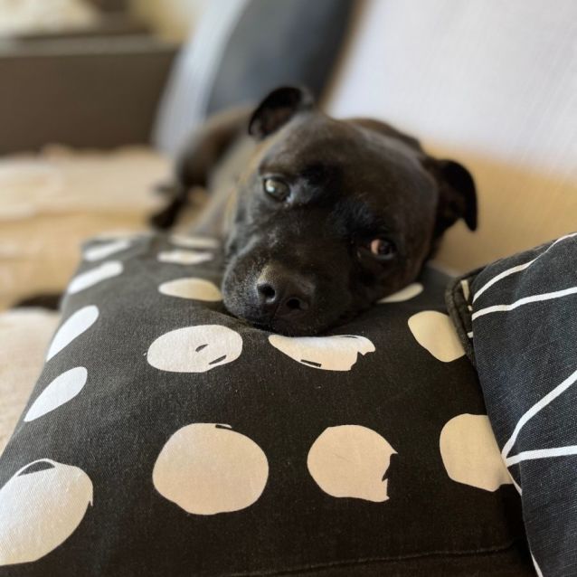 Photo of Pippa Dl2772