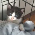 Photo of Jasper