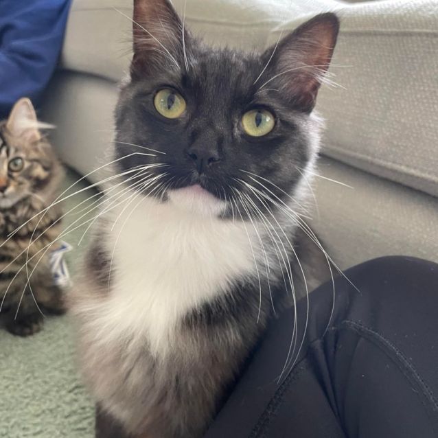 Photo of Bubbles (Located In Edithvale)