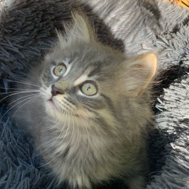 Photo of Millie💕💕💕