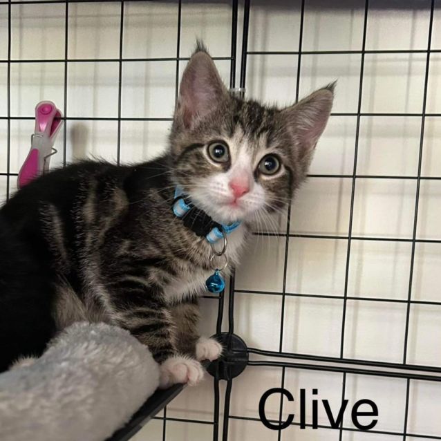 Photo of Clive