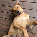 Photo of Gunston