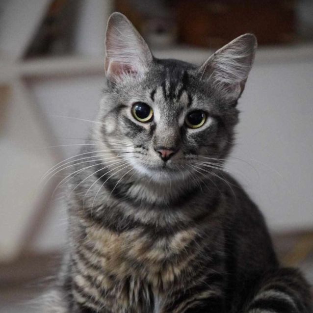 Photo of Seamus O'malley