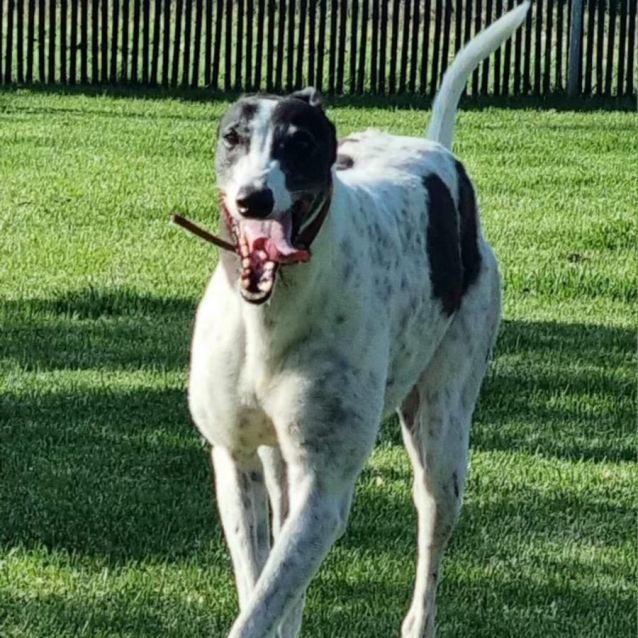 Photo of Bonnie & Cindy