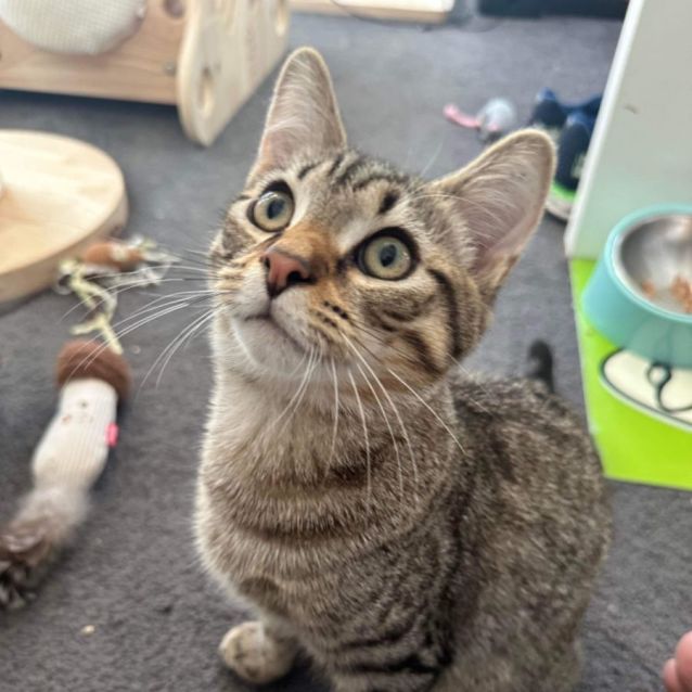 Photo of 🧸Bobby🧸