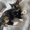 Photo of Rayne