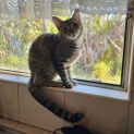 Photo of Stripe